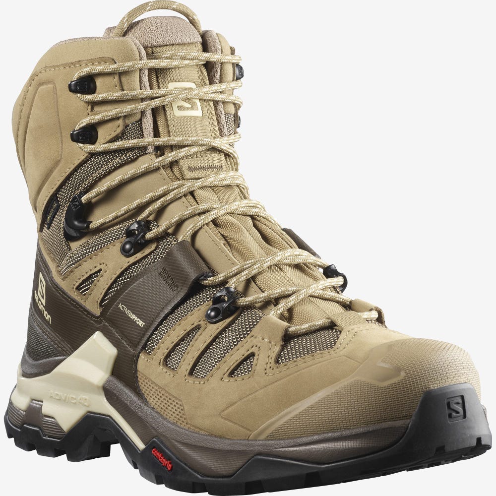 Men's Salomon QUEST 4 GORE-TEX Hiking Boots Brown | KDOZ-46159