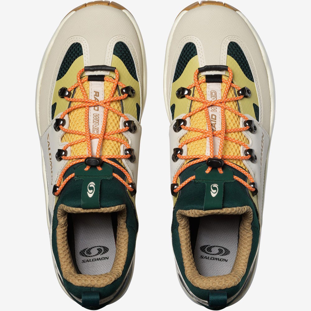 Men's Salomon RAID WIND Sneakers Deep Green/Orange | WEDV-85642