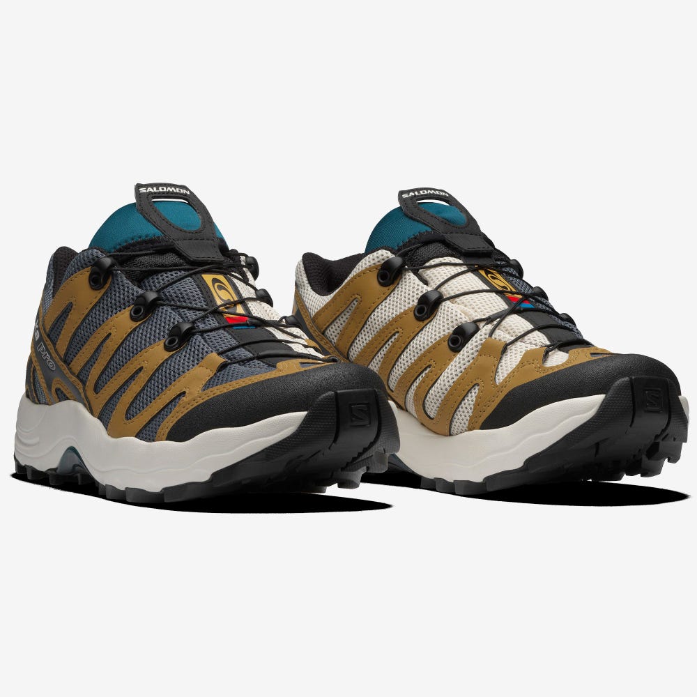 Men's Salomon XA PRO 1 Sneakers Grey/Brown | ZEGJ-24185