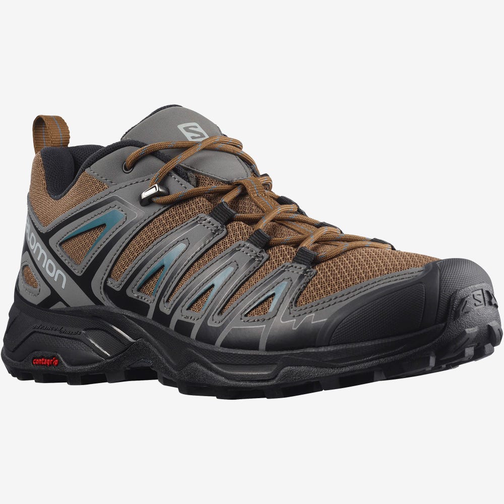 Men's Salomon X ULTRA PIONEER Hiking Shoes Blue | AGDX-97563