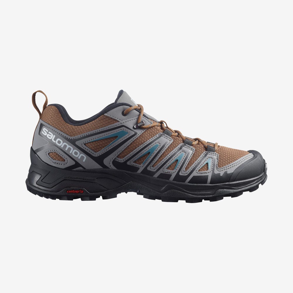 Men\'s Salomon X ULTRA PIONEER Hiking Shoes Blue | AGDX-97563