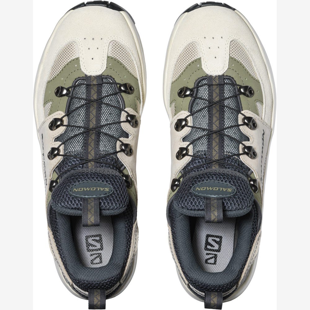 Women's Salomon RAID WIND ADVANCED Sneakers Grey/Beige/Deep Green | HUZD-28694