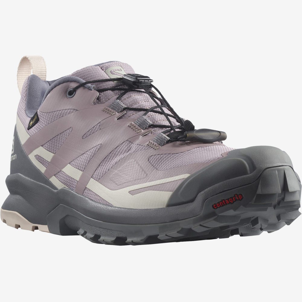 Women's Salomon XA ROGG 2 GORE-TEX Trail Running Shoes Grey | WQSE-92146