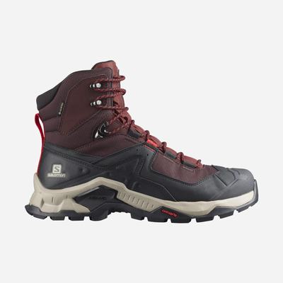 Men's Salomon QUEST ELEMENT GORE-TEX Hiking Boots Chocolate Purple/Brown | XSUE-68520