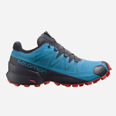 Men's Salomon SPEEDCROSS 5 GORE-TEX Trail Running Shoes Blue/Black | JAOH-64512