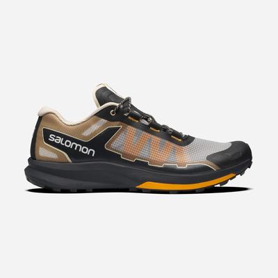 Men's Salomon ULTRA RAID Sneakers Grey/Brown | ZBJN-10638